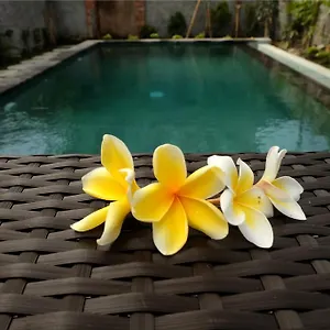 Guest house Eka Bali, Ubud (Bali)