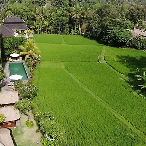 Guest house Byasa, Ubud (Bali)
